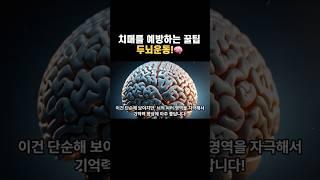 두뇌 튼튼! 치매 예방 운동좋아요, 구독 누르고 건강정보 계속 받아보세요!  #치매예방 #두뇌운동