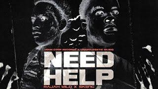 Skeng x RajahWild - Need Help (Official Audio)