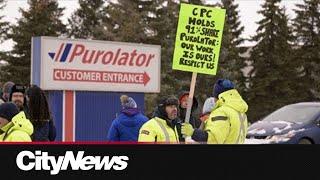 Canada Post employees in Winnipeg hold the line at Purolator