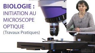 Initiation au Microscope Optique