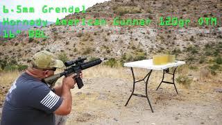 6 5mm Grendel Hornady American Gunner 120gr OTM gel test