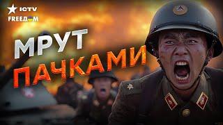 Корейцы ОТГРЕБЛИ! Минус СОТНИ ТЫСЯЧ вояк под КУРСКОМ ️ Ким УЧУЯЛ ЛАЖУ