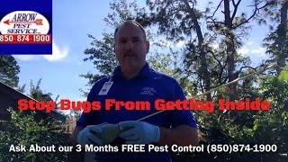 Pest Control Panama City, FL - Arrow Pest Service