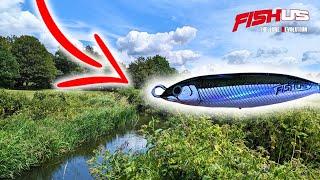 Lure Lowdown: Fishus Wobly (INSANE ACTION!)