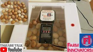 HOW TO DO A FARM INNOVATORS 4250 LOCK DOWN. BEST INCUBATOR. WHY LOCK DOWN IS IMPORTANT. Tips Tricks