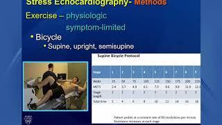 Guidelines for Performance, Interpretation, & Application of Stress Echo in Ischemic Heart Disease