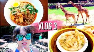 weekly vlog吃饭 带娃 过日子 | 达拉斯植物园 | 吃早茶 | myhuo开箱 | 去学校做志愿者 | 妹妹日常 | 美味米线