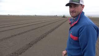 Lettuce Production in the Salinas Valley