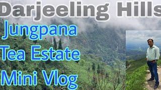 Darjeeling Hills Jungpana Tea Estate ️ | Maganadi Tindharia Jungpana Tea Estate mini vlog |