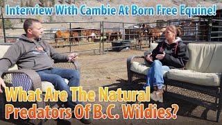 What Are The Natural Predators Of BC Wildies? #126