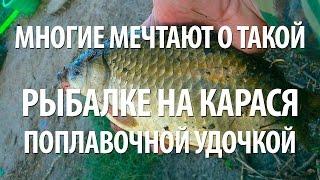 ЛОВЛЯ КАРАСЯ на РЕКЕ. ЛЮБИТЕЛЬСКАЯ КАРАСЕВАЯ РЫБАЛКА на ПОПЛАВОЧНУЮ УДОЧКУ