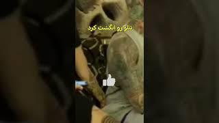 تتلو رو انگشت کرد | دختره دست کرد شلوار امیر تتلو