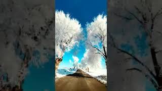Paisaje de Invierno️️️️