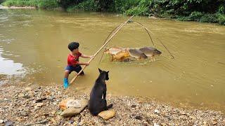 Fish trapping technique, Phu boy harvests fish during flood season.