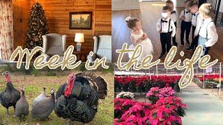 Thanksgiving Vlog | Busy Week in the Life | Prepping For a Busy Week | Wedding Vlog