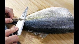 [4K]Fillet a Whole Bigeye trevally, sashimi