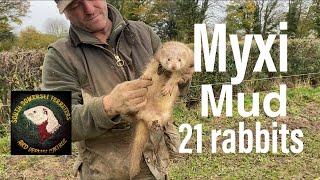 Ferreting-myxomatosis and mud - rabbiting - ferrets