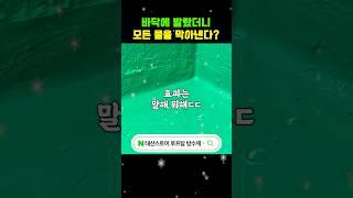 100만원 이상 옥상 방수 10만원 컷~?! #shorts