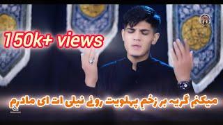 Zeeshan Haider || New Noha 2023-24 || میکنم گریہ بر زخمی پہلویت || Ayam e Fatimia sa || #azadar