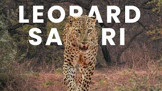 India's BEST Leopard Safari: Jhalana Leopard Reserve in Jaipur [FULL Experience]