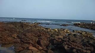 Sea shells by the sea shore at Rushikonda Vizag.