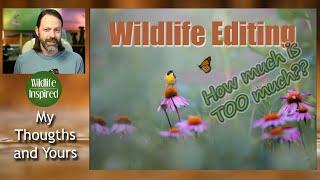 Editing in Wildlife Photography - How Much is Too Much