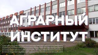 Аграрный институт