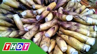 Măng Tây Bắc sốt rần rần, giá bán tăng cao | THDT