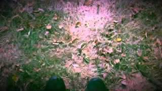 Matthew Finley Day - New England Estrange(demo)