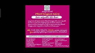 Vocational Apprenticeship Mela // Professional Jobs // Srinivas lecturer Updates