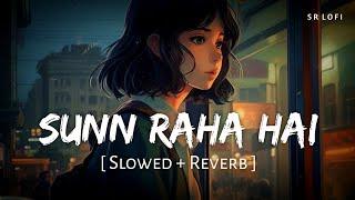 Sunn Raha Hai Na Tu Female (Slowed + Reverb) | Shreya Ghoshal | Aashiqui 2 | SR Lofi