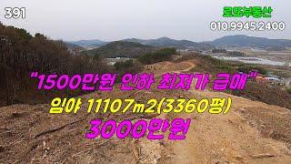 1500만원 인하  3000만원에 급매, 임천면 벌목완료한 임야 [로또부동산]