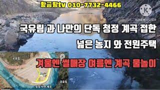 영덕 국유림과 나만의 단독 청정 계곡 접한 넓은 농지와 전원주택