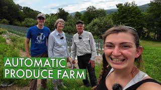 Inside Their Successful Automated Produce Farm After 37 Years (Pleasant Valley Farm)