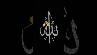 Mohammed Nabi ﷺ #muhammad #bayan #allahabad #sj kaba Sharif vlogs