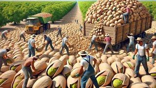 100 Mind-Blowing Harvest Moments That Will Leave You Speechless - Agriculture Technology