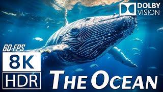 THE OCEAN (8K HDR)- Scenic Relaxation Film - Peaceful Relaxing Music - 8K Video Ultra HD