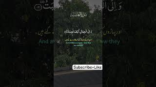 الله اكبر سبحان الله الحمدلله #رب #subscribemychannel الله#motivationalvideo #quranquotes #quran