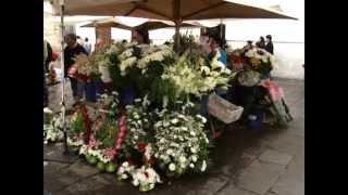 CUENCA PLAZA DE LAS FLORES