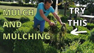 Mulch and Mulching. Gardening Tips. How to mulch and the benefits of mulching.