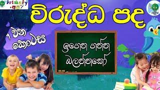 විරුද්ධ පද(wirudda padha) 1වන කොටස* primary අපි *