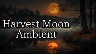 Harvest Moon over a Tranquil Lake  | Relaxing Nature Sounds and Soft Ambient Music