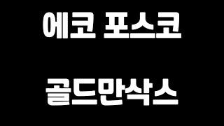 에코프로비엠 포스코퓨처엠 골드만삭스 수상한 공매도 관계