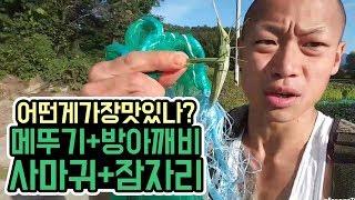 윽박::메뚜기+방아깨비+사마귀+잠자리 곤충맛평가 (eugbak Eating an insect)