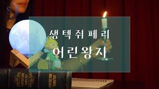 상처 받은 어른들을 위한 동화 ㅣ프랑스의 소설가이자 공군 장교였던 생텍쥐페리의 대표작 어린왕자ㅣASMR Audio Book