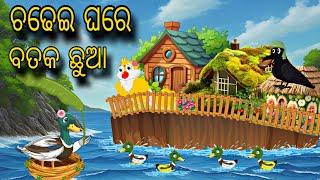 Chadhei Ghare Bataka Chua \\ Odia Stories \\ Tiki Chadhei Gapa \\ Bird Gapa Kahani \\ Odia Gapa