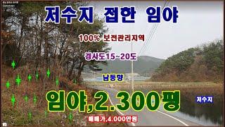 물번,747번) 저수지 접 임야,2.300평 100% 보전관리지역,준보전산지, 도로 접하고 차량통행 수월합니다, 경사도15도~20도 이며 방위 , 남동향입니다, 매매가,4.000만