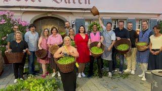 Tettnang die wirkliche Hopfenstadt (Kurzbericht)