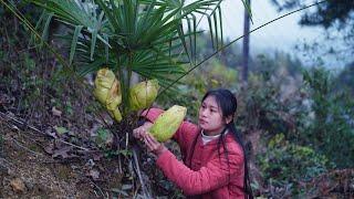 Cooking with Wild Ingredients from the Mountain