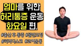 엄마를 위한 허리운동(2)ㅣ출산후 운동, 골반교정, 허리디스크, 코어운동